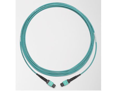 CORD INSTAPATCH 12FO LZ550 66FT(20M